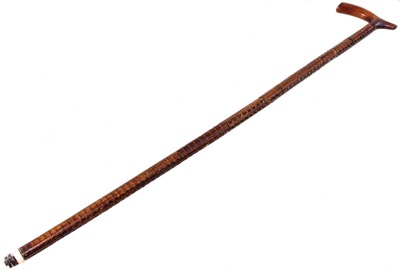 Unmarked: Early Shark Vertebrae Cane