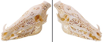 Unmarked: Intricately Carved Boar's Skull