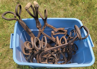Assorted Makers: Coll. Of Early Type Ice Tongs