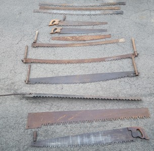 Assorted Makers: Lot Of Two Man Cro0sscut Saw
