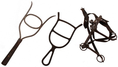 Unmarked: Three Interesting Veterinary Speculi