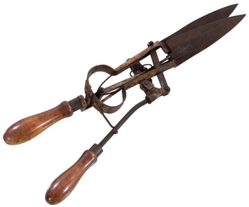 Otto Kampfe, New York, New York: Kampfe's Patent Lawn Trimmer