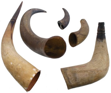Unmarked: Lot Of Five Cow Horns For Powder