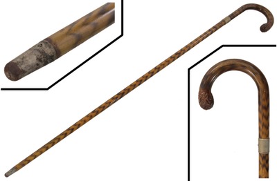 Unmarked: Fancy Figured Bamboo Walking Stick