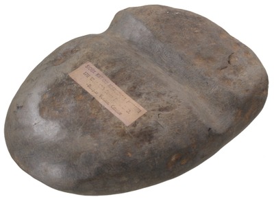 Unmarked: Western Native Amer. Stone Axe Head