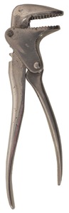 William H. Edwards, Rockford, Illinois: Early Patent Nut Cracker