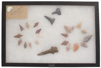 Unmarked: Coll. Of Native Amer. Bird Points