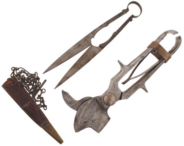 Unmarked: Pair Of Extra Clean Horticultural Shears