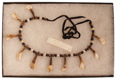 Unmarked: Native American Elk Tooth Necklace