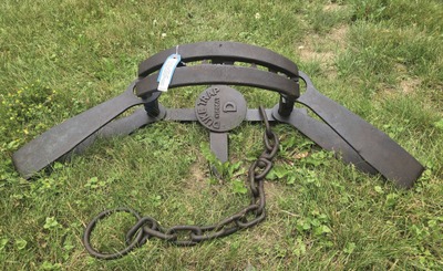 Duke Trap Company, No. 16: Later Type Dbl. Long `spring Bear Trap