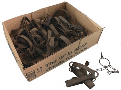 Oneida Community, Oneida, New York: Lot Of Assorted Muskrat Traps