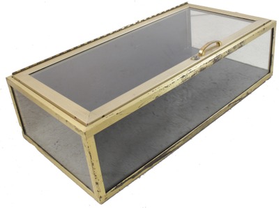 Unmarked: Extra Clean Brass & Glass Display Case