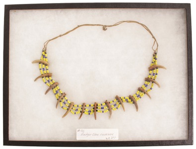 Unmarked: Native American Badger Claw Necklace