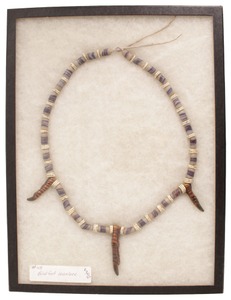 Unmarked: Native American Bird's Foot Necklace