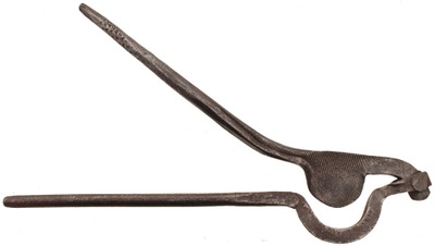 Unmarked: Hand Forged Horse Tail Docking Tool