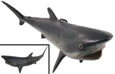 Unmarked: Large Fiberglass Model Of Shark