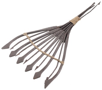 Unmarked: Early Hand Forged Eel Spear