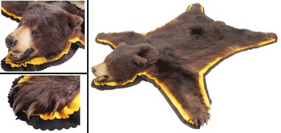 Unmarked: Genuine Adirondack Mtr. Bearskin Rug