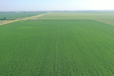 Pifer's Land