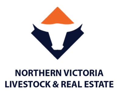StockLive