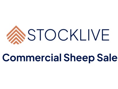 StockLive
